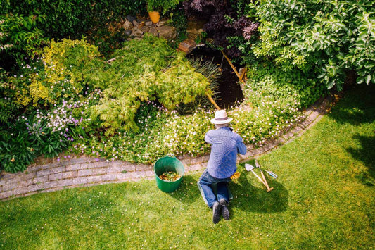 eco friendly landscaping