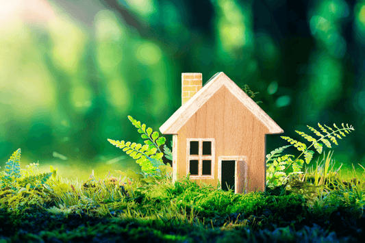 sustainable-home