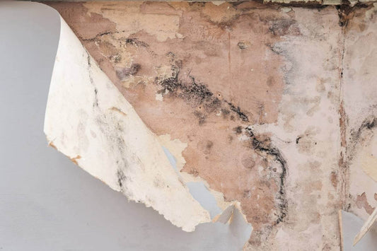 Damp proofing